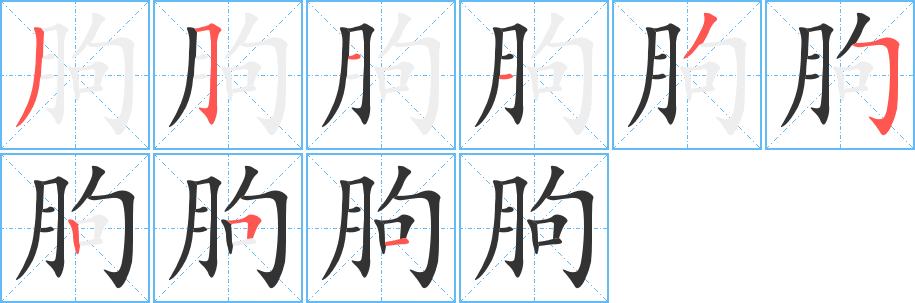 丑字的笔顺分步演示