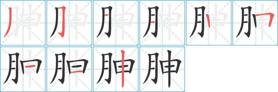 丑字的笔顺分步演示