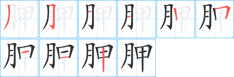 丑字的笔顺分步演示
