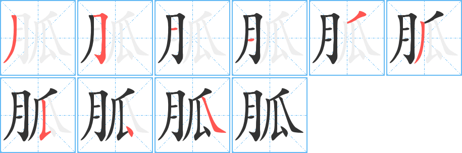 丑字的笔顺分步演示