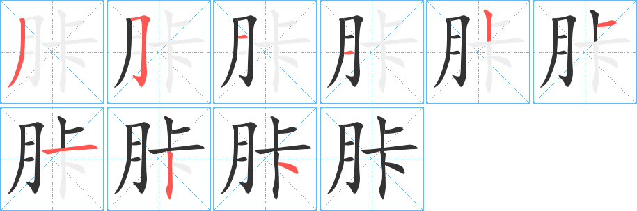 丑字的笔顺分步演示