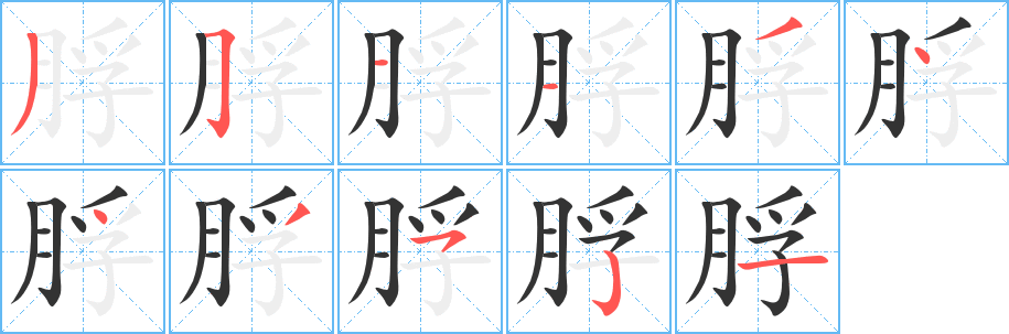 丑字的笔顺分步演示